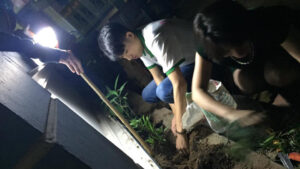 Trồng cây vì môi trường xanh hưởng ứng chiến dịch Giờ Trái Đất 1