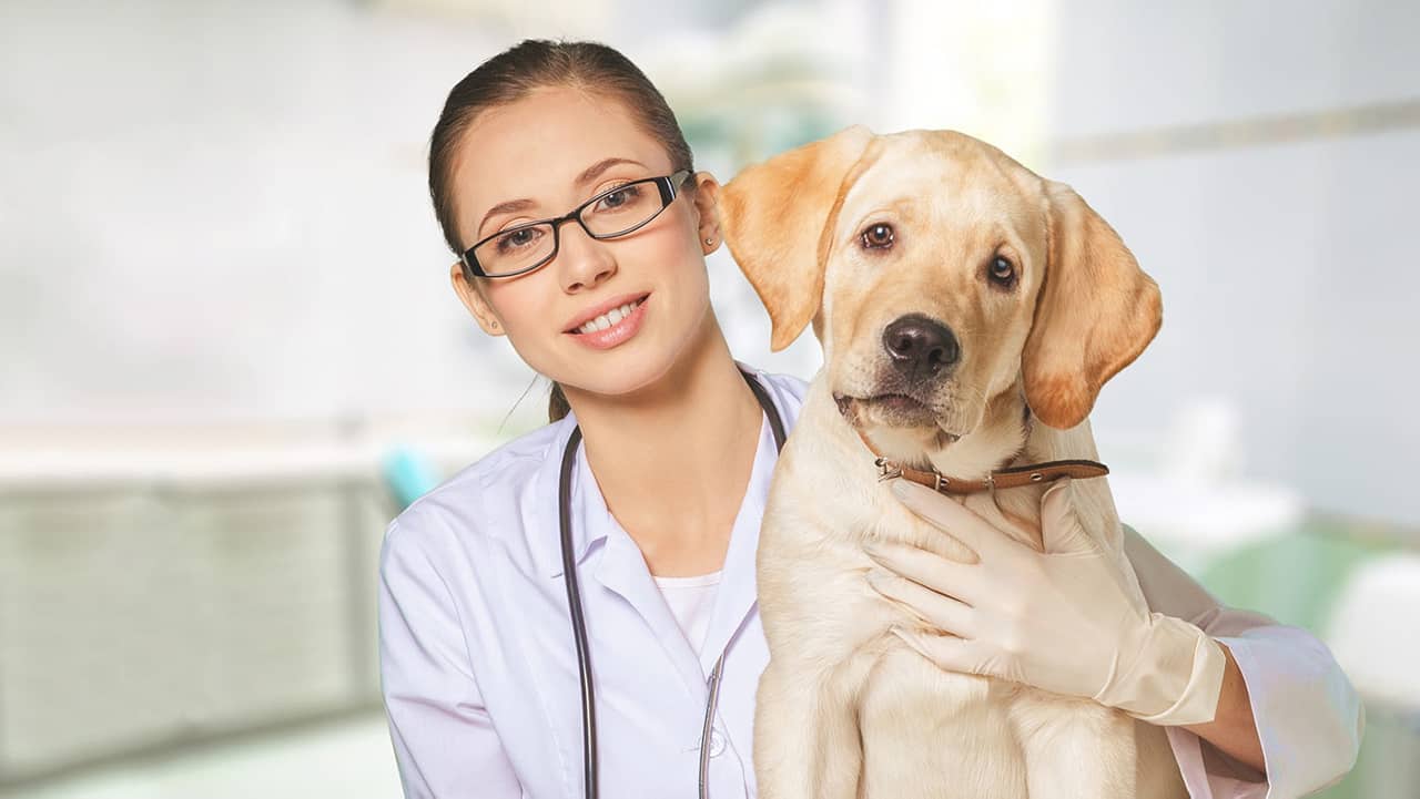 Tuyển sinh Trung cấp - Cao đẳng từ xa 95