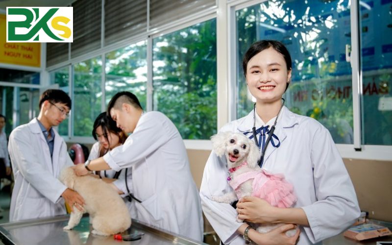 Cơ hội việc làm Trung cấp thú Y sau khi ra trường 4 Tại sao làm ngành thú Y có cơ hội việc làm tốt?
