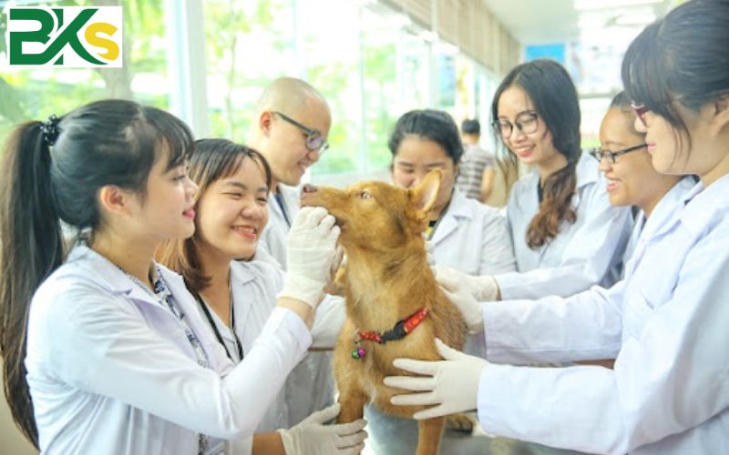 Cơ hội việc làm Trung cấp thú Y sau khi ra trường 5 Các tiềm năng trong ngành Trung cấp Thú y