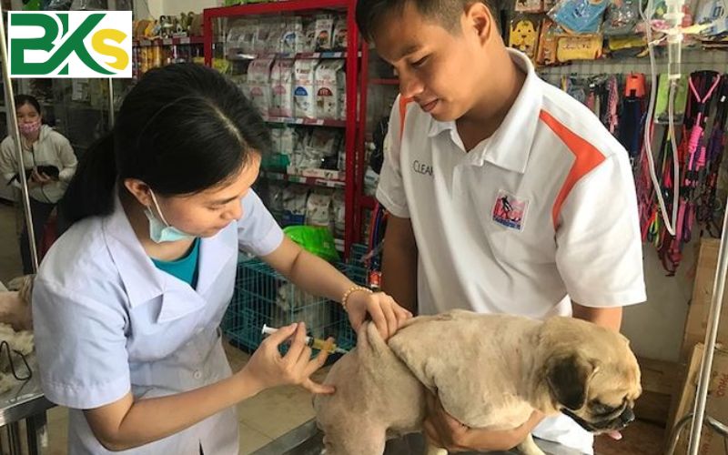 Giá học Trung cấp thú y và những lợi ích của việc học