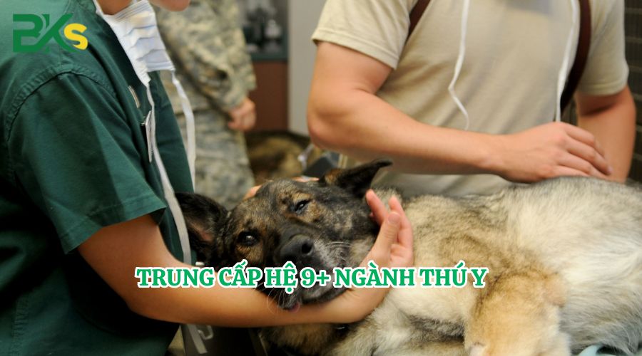 Đăng ký Trung cấp hệ 9+ ngành Thú y