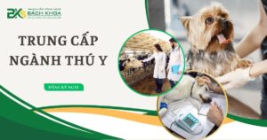 Trung cấp ngành Thú y