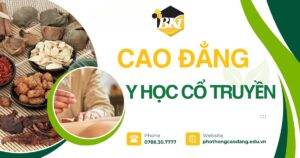 Tuyển sinh cao đẳng y học cổ truyền