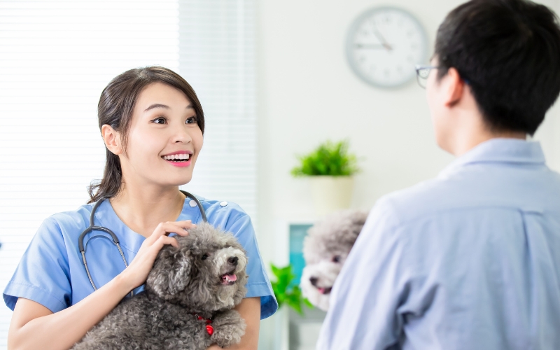 Học Văn bằng 2 Trung cấp Thú y Từ xa mới nhất 2025 31 Văn bằng 2 Trung cấp Thú y là gì?