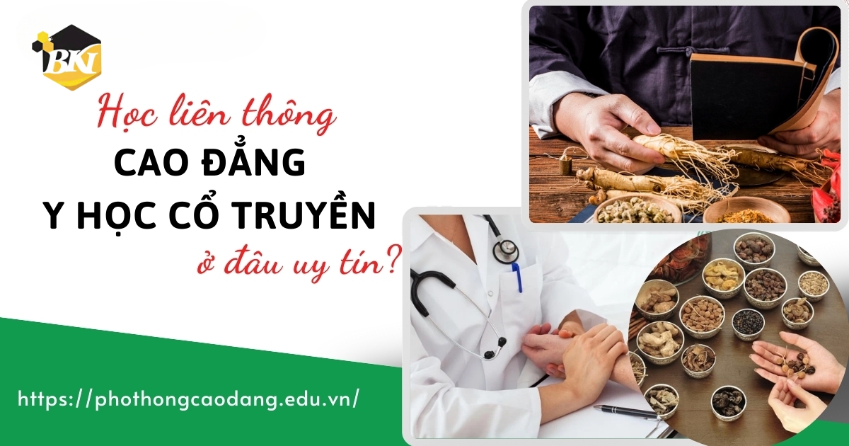 Liên thông Cao đẳng Y học cổ truyền