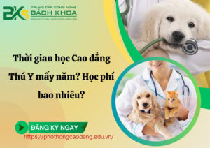 Thời gian học Cao đẳng Thú Y mấy năm? Học phí bao nhiêu?