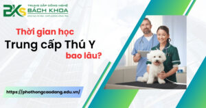 Thời gian học Trung cấp Thú Y bao lâu?