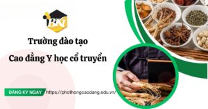 Trường đào tạo Cao đẳng Y học cổ truyền