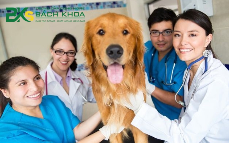 Cơ hội việc làm Trung cấp Thú Y mới nhất 2025 23 Cơ hội việc làm sau khi ra trường Trung cấp Thú y là gì?