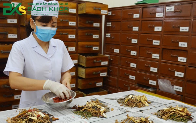 Tuyển sinh Trung cấp Y học cổ truyền vừa học vừa làm mới cập nhật 6 Lợi ích của việc học Trung cấp Y học cổ truyền vừa học vừa làm