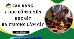 Cao đẳng y học cổ truyền học gì?