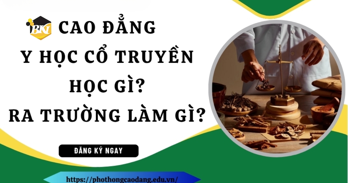 Cao đẳng y học cổ truyền học gì?