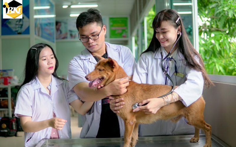 Đăng ký học Trung cấp Thú y online - Nhận bằng chính quy 8 Tại sao chọn học Trung cấp Thú y