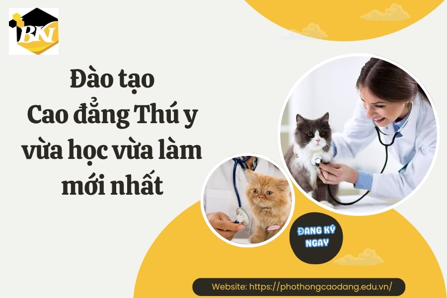 Đào tạo Cao đẳng Thú y vừa học vừa làm mới nhất