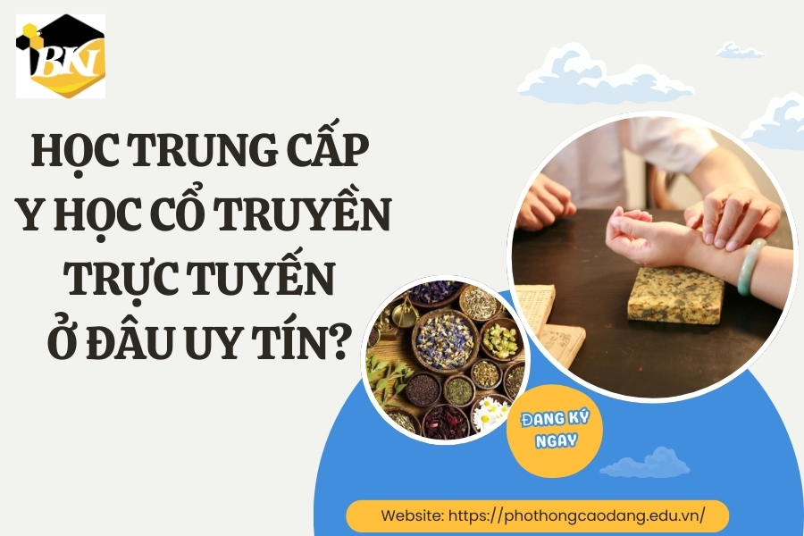 Học Trung cấp Y học cổ truyền trực tuyến ở đâu uy tín?