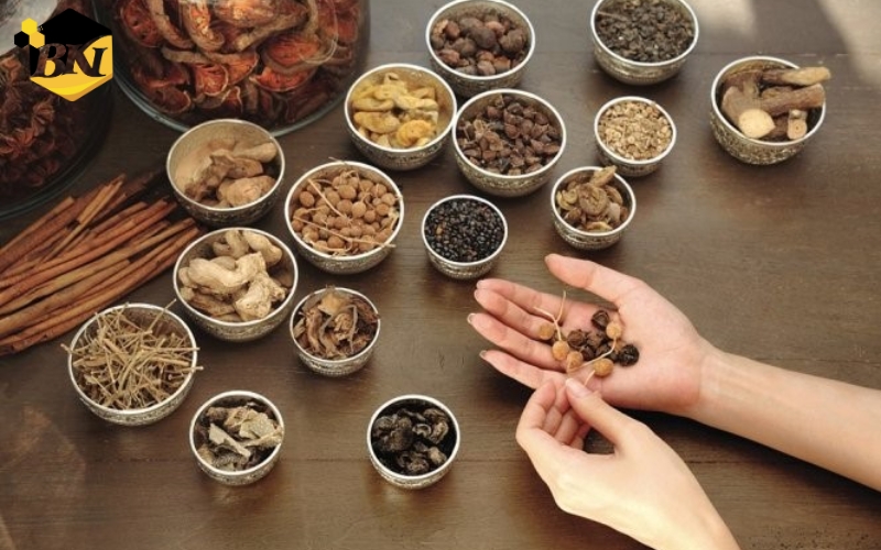 Tuyển sinh Văn bằng 2 Cao đẳng Y học cổ truyền mới cập nhật 25 Sau khi tốt nghiệp Văn bằng 2 Cao đẳng Y học cổ truyền ra trường làm công việc gì?