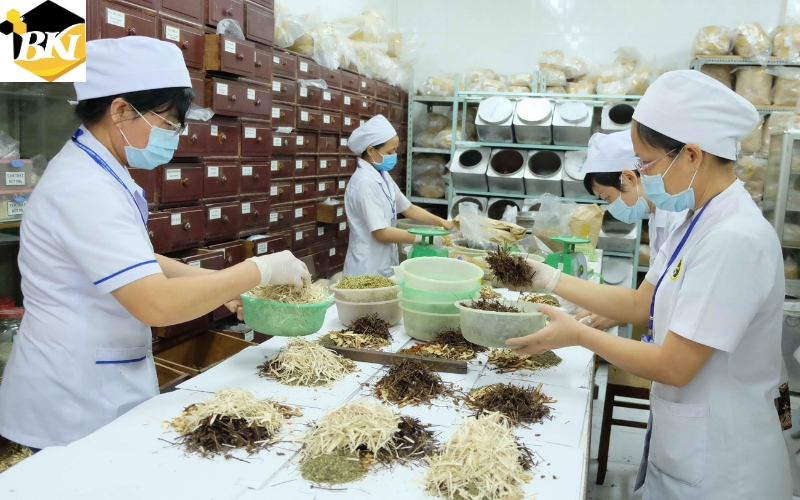 Học xong Cao đẳng Y học cổ truyền ra trường làm việc gì?