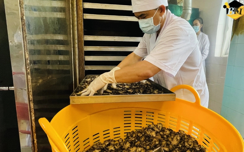 Nội dung học Trung cấp Y học cổ truyền Cấp tốc
