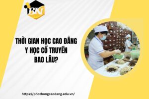 Thời gian học Cao đẳng Y học cổ truyền bao lâu?