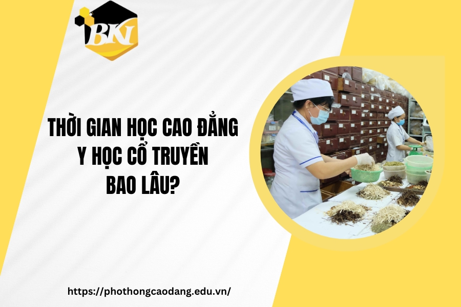 Thời gian học Cao đẳng Y học cổ truyền bao lâu?
