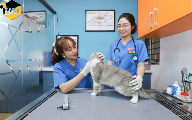 Tuyển sinh Trung cấp Thú y Cấp tốc mới nhất 22 Học Trung cấp Thú Y Cấp tốc tại Tuyển sinh Cao đẳng BKI