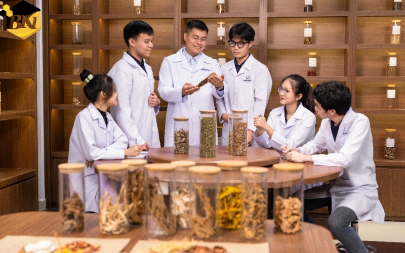 Trường học Trung cấp Y học cổ truyền vừa học vừa làm uy tín 12 Học Trung cấp Y học cổ truyền vừa học vừa làm tại BKI