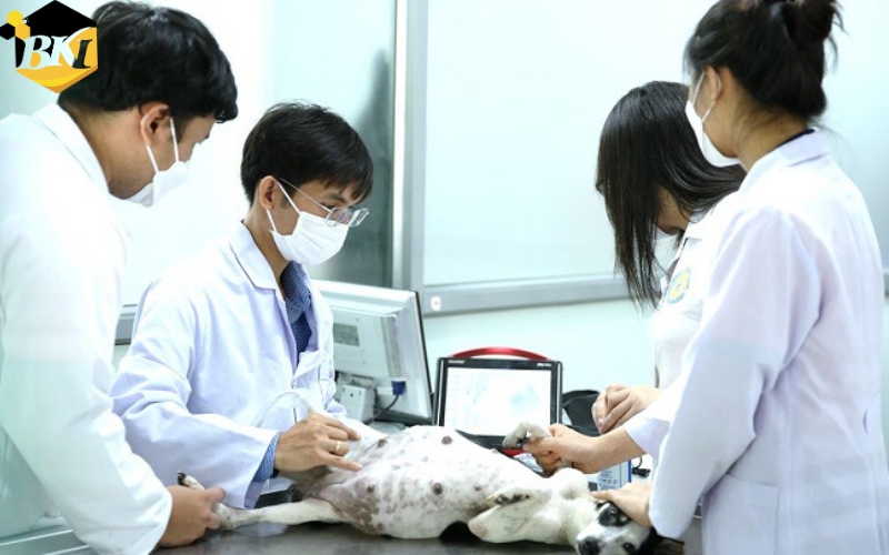 Tuyển sinh Trung cấp Thú y Cấp tốc mới nhất 23 Mức lương của Trung cấp Thú Y Cấp tốc có cao không?
