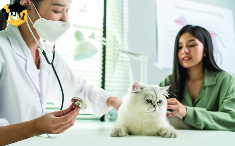 Thời gian học Trung cấp Thú y Trực tuyến bao lâu ra trường?