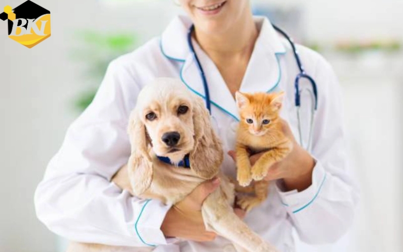 Có nên chọn học Trung cấp ngành Thú y không?