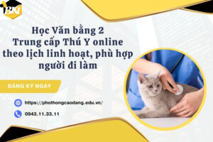 Học Văn bằng 2 Trung cấp Thú Y online theo lịch linh hoạt, phù hợp người đi làm