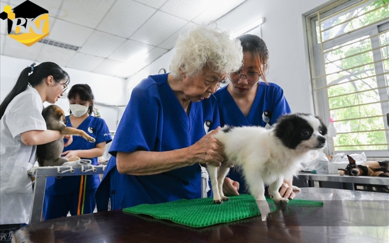 Trường đào tạo Trung cấp ngành Thú y uy tín nhất