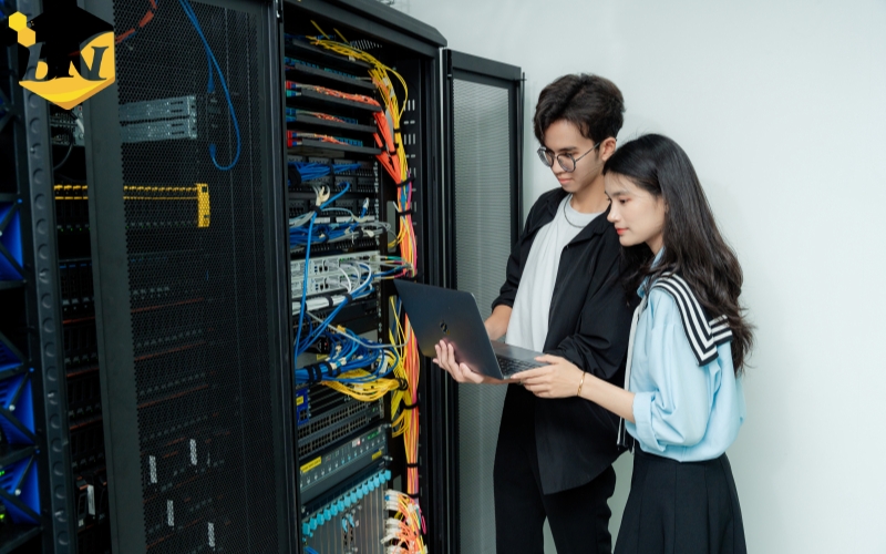 Trường đào tạo Công nghệ thông tin tại TP.HCM có nhiều không?