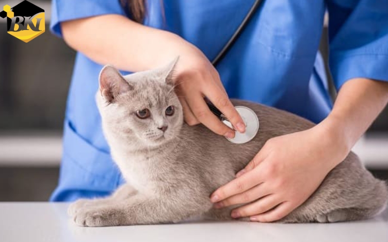 Cần chú ý gì khi tìm trường đào tạo học từ xa Văn bằng 2 Trung cấp Thú y?