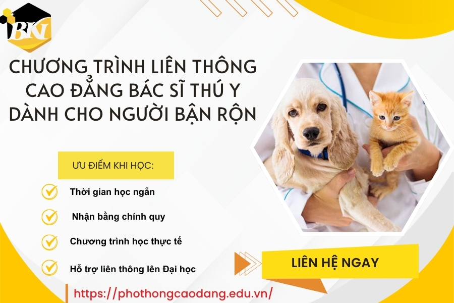 Chương trình liên thông Cao đẳng Bác sĩ Thú y dành cho người bận rộn