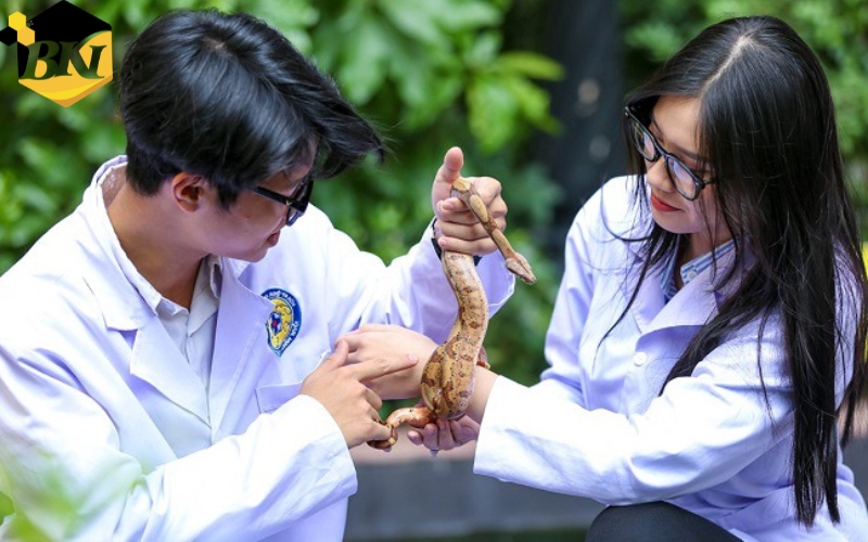 Cơ hội việc làm sau khi học liên thông Cao đẳng Bác sĩ Thú y