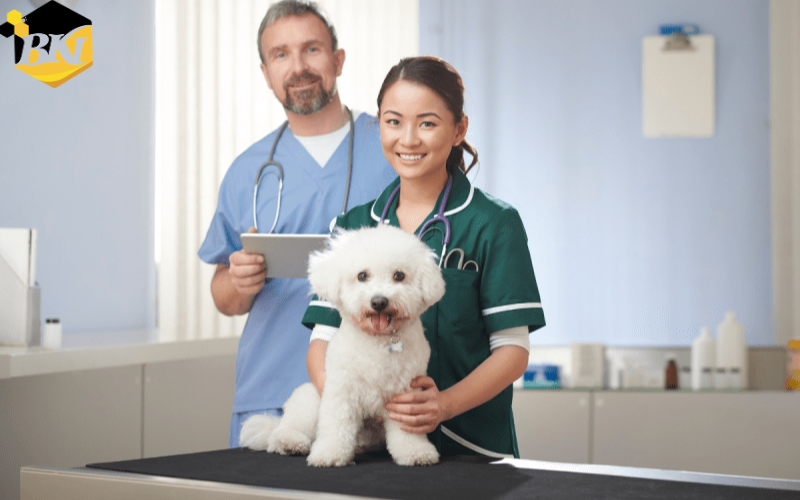 Học từ xa Văn bằng 2 Trung cấp Thú y tại Tuyển sinh Cao đẳng BKI