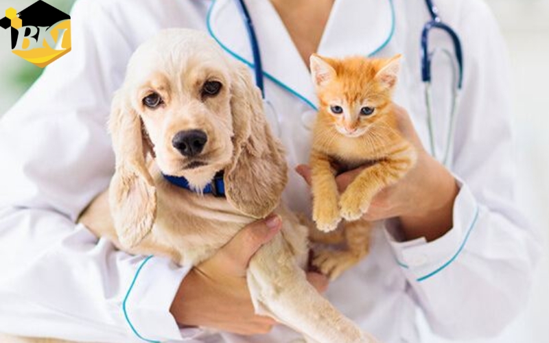 Sự khác nhau giữa Trung cấp và Cao đẳng Bác sĩ Thú y