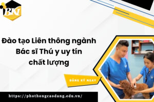 Đào tạo Liên thông ngành Bác sĩ Thú y uy tín chất lượng