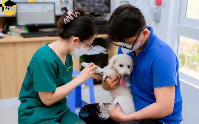 Học Liên thông ngành Bác sĩ Thú y tại BKI có lợi ích gì?