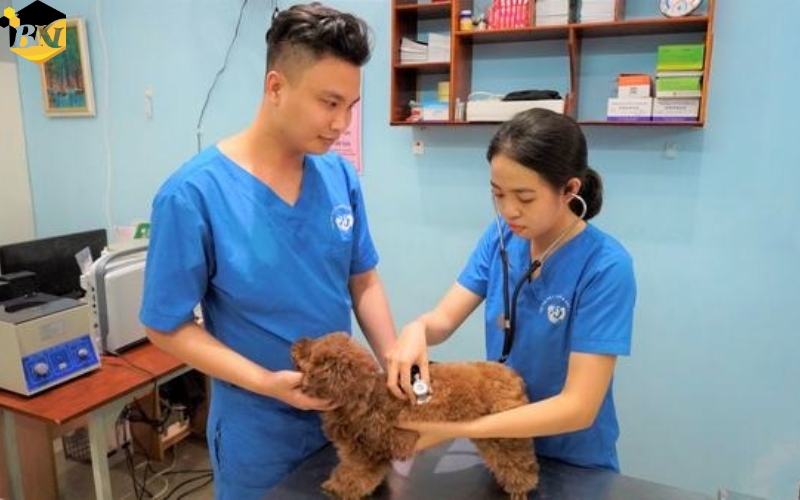 Thời gian Liên thông ngành Bác sĩ Thú y 