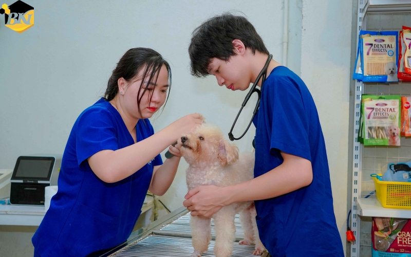Thông tin tuyển sinh đào tạo Liên thông ngành Bác sĩ Thú y 