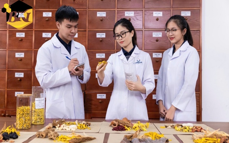 Vì sao nên chọn học trực tuyến ngành Y học cổ truyền?