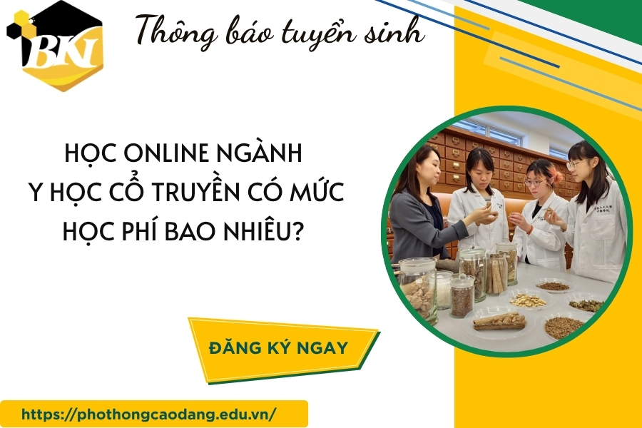 Học online ngành Y học cổ truyền có mức học phí bao nhiêu? 12 Học online ngành Y học cổ truyền có mức học phí bao nhiêu?