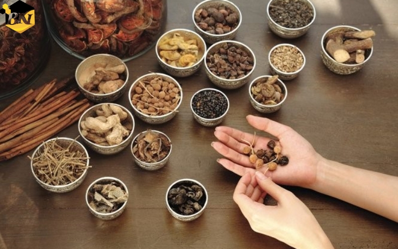 Học ngành Y học cổ truyền vào cuối tuần - Linh hoạt thời gian 23 Đăng ký học ngành Y học cổ truyền vào cuối tuần uy tín tại Tuyển sinh Cao đẳng BKI