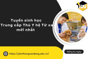 Tuyển sinh học Trung cấp Thú Y hệ Từ xa mới nhất