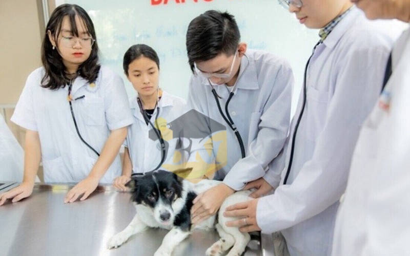 Điều kiện tuyển sinh Cao đẳng Thú y
