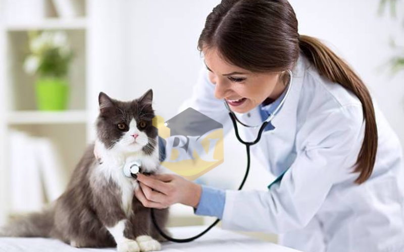 Khóa học ngành Chăm sóc Thú cưng uy tín - Nhận bằng chính quy 22 Học phí ngành Chăm sóc Thú cưng bao nhiêu?