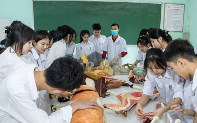 Học Trung cấp Thú y trực tuyến có liên thông được không? 23 Học Trung cấp Thú y trực tuyến có được Liên thông không?