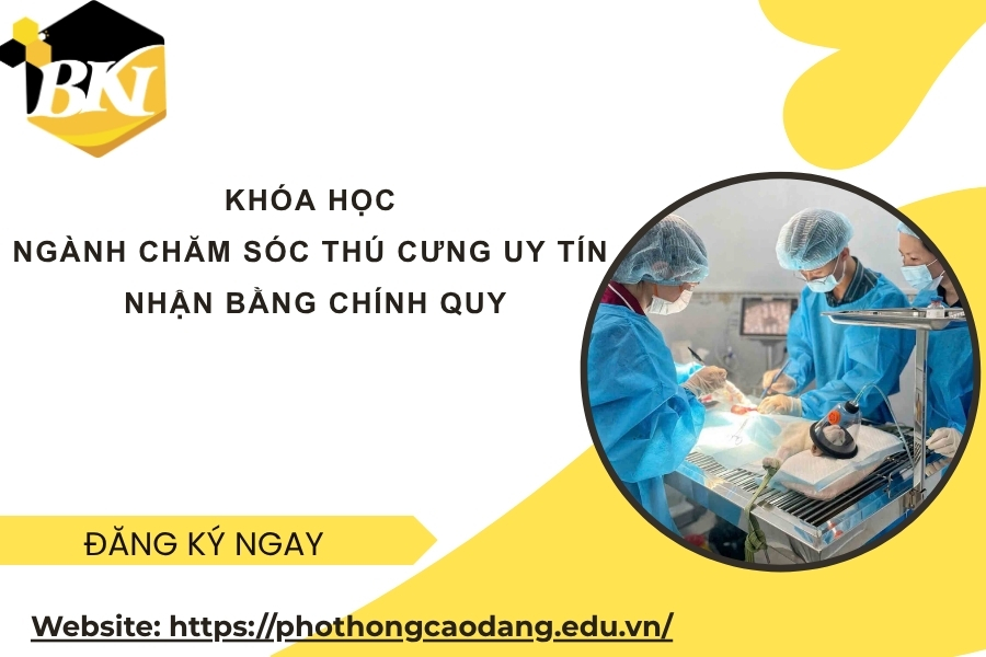 Khóa học ngành Chăm sóc Thú cưng uy tín - Nhận bằng chính quy 9 Khóa học ngành Chăm sóc Thú cưng uy tín - Nhận bằng chính quy